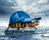Turtle in a Hat
