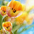 Yellow Flowers Diamond Painting