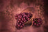 Red Grapes DIY Diamond Painting