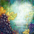 Still Life Grapes DIY Painting