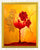 Wine Glass & Red Grapes DIY Diamond Painting
