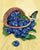 Blueberries Round Drill
