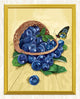 Basket of Blueberries & Butterfly