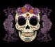 Skull Diamond Painting