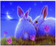 Animals Diamond Painting Kits