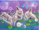 Rabbits & Tigers DIY Diamond Painting