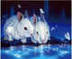 Rabbits & Tigers DIY Diamond Painting