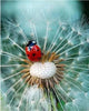Dandelion Flower - Paint With Diamonds