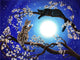 Cats on Trees DIY Diamond Paintings