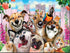 Funny Animals DIY Diamond Paintings