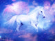Horse Collection DIY Diamond Paintings
