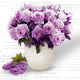 Variety of Flowers Collection DIY Painting