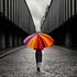 A Girl with Colorful Umbrella walking on a street