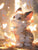Anime Cat Painting By Diamond