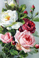 Acrylic Roses Paint by Diamonds