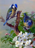 Adorable Birds Pair - Paint by Diamonds