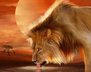 African Lion Paint by Diamonds