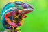 Amazing Chameleon - Paint by Diamonds