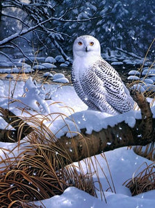 Amazing Snow Owl Paint by Diamonds