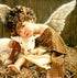Angel Baby with Lamb