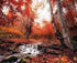 Autumn Forest Landscape Painting