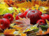 Autumn Leaves & Fruits