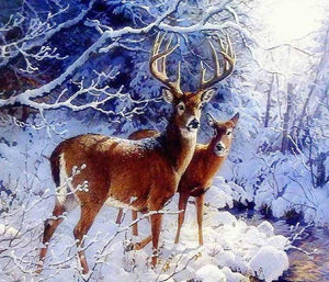 Beautiful Deer Pair in Snow Diamond Painting Kit