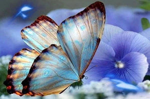 Blue Orchids & Butterfly Paint by Diamonds