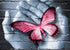 Butterfly Artistic Painting Kit