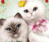 Cartoon Cats Diamond Painting