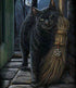 Cat with Broom Diamond Painting