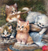 Cats Nest Diamond Painting