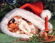 Cats Sleeping in Christmas Hat Diamond Painting