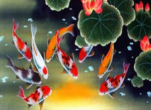 Koi Fish Paint by Diamonds