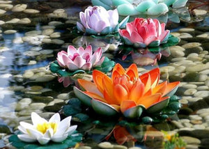 Colorful Lotus Paint by Diamonds