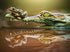 Crocodile & Frog Painting Kit