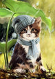 Cute Cat with Hat & Scarf Diamond Painting