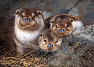 Cute Otter Babies Paint by Diamonds