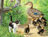 Duck Family & Kitten