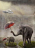 Elephants with Umbrellas