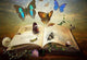 Fantasy Book Paint by Diamonds