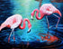 Flamingos Pair in Water