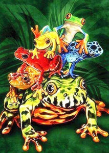 Frogs Species Paint by Diamonds