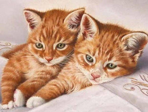 Ginger Cat Pair Paint by Diamonds
