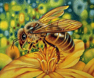 Honey Bee Close up Paint by Diamonds