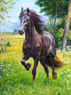 Horse Running Paint by Diamonds