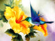 Humming Bird & Yellow Flower Diamond Painting