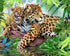 Jaguar with Baby Diamond Painting
