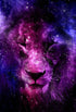 Lion Painting with Galaxy Background