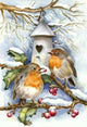 Little House of Snow Birds Diamond Painting